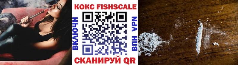 сколько стоит MEGA КОКАИН FishScale Долинск