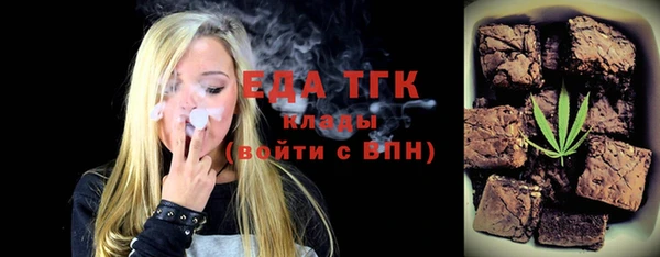шишки Гусиноозёрск