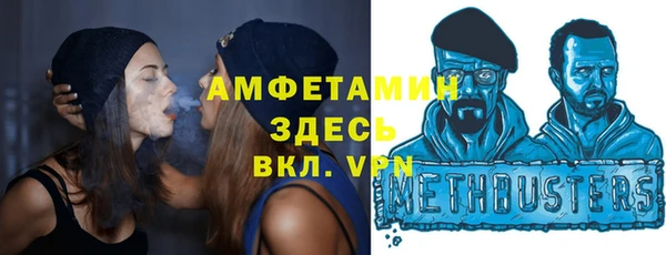 шишки Гусиноозёрск