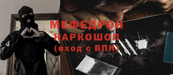 шишки Гусиноозёрск