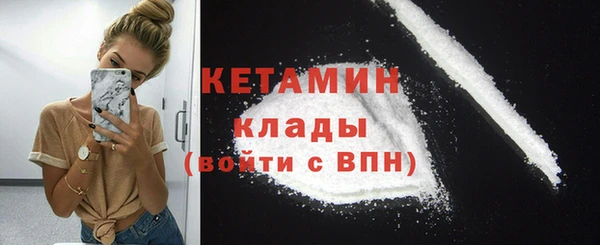 шишки Гусиноозёрск
