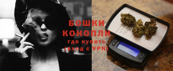 шишки Гусиноозёрск