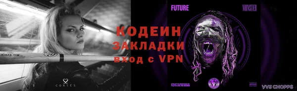 шишки Гусиноозёрск