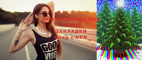 марки nbome Гусь-Хрустальный
