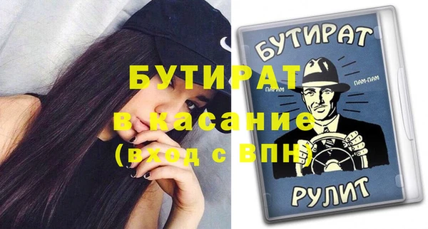 шишки Гусиноозёрск