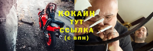 шишки Гусиноозёрск