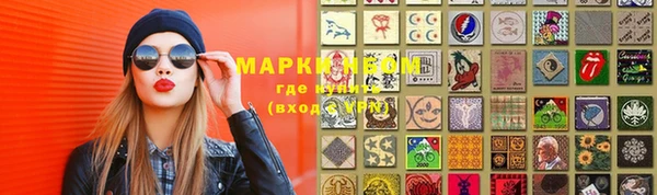 шишки Гусиноозёрск