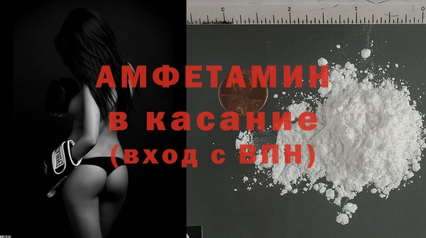 шишки Гусиноозёрск