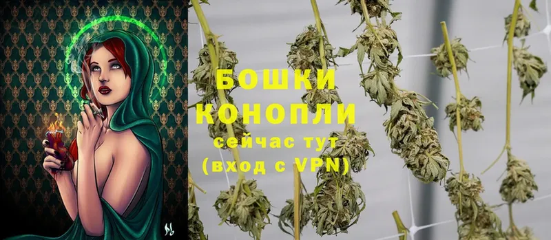 МЕГА ТОР  Долинск  Бошки Шишки OG Kush 